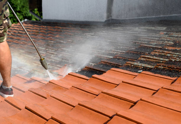 Best Commercial Pressure Washing  in Sterling, GA