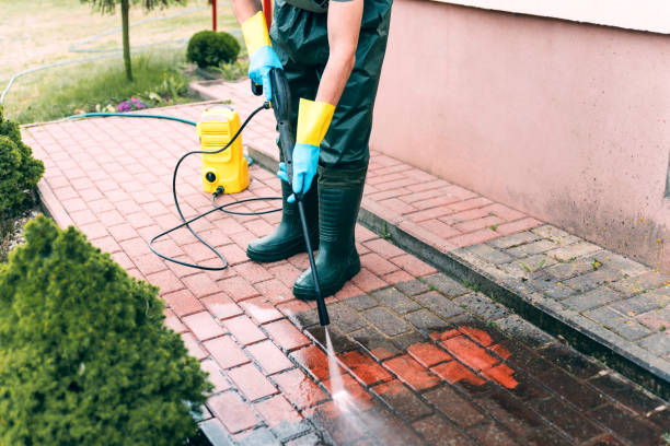 Best Roof Power Washing Services  in Sterling, GA